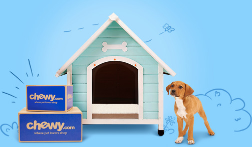 chewy dog supplies