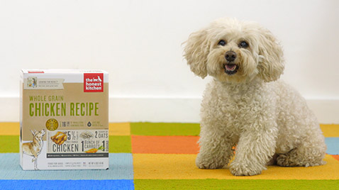 What are the benefits of dehydrated pet food?