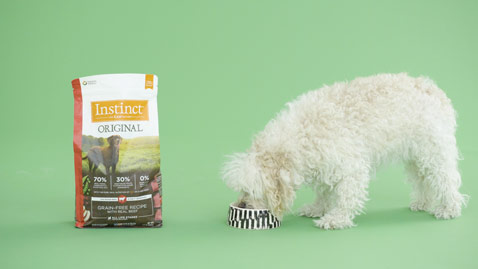 How do I keep my pet from getting bored with their food?