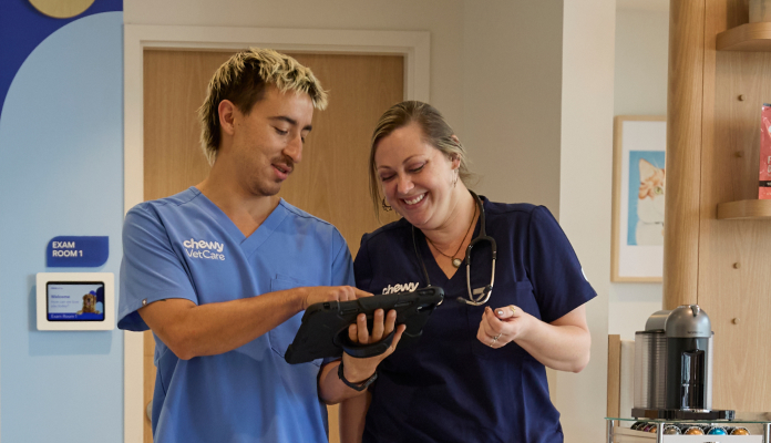 Two Chewy Vet Care professionals collaborating and reviewing information on a tablet