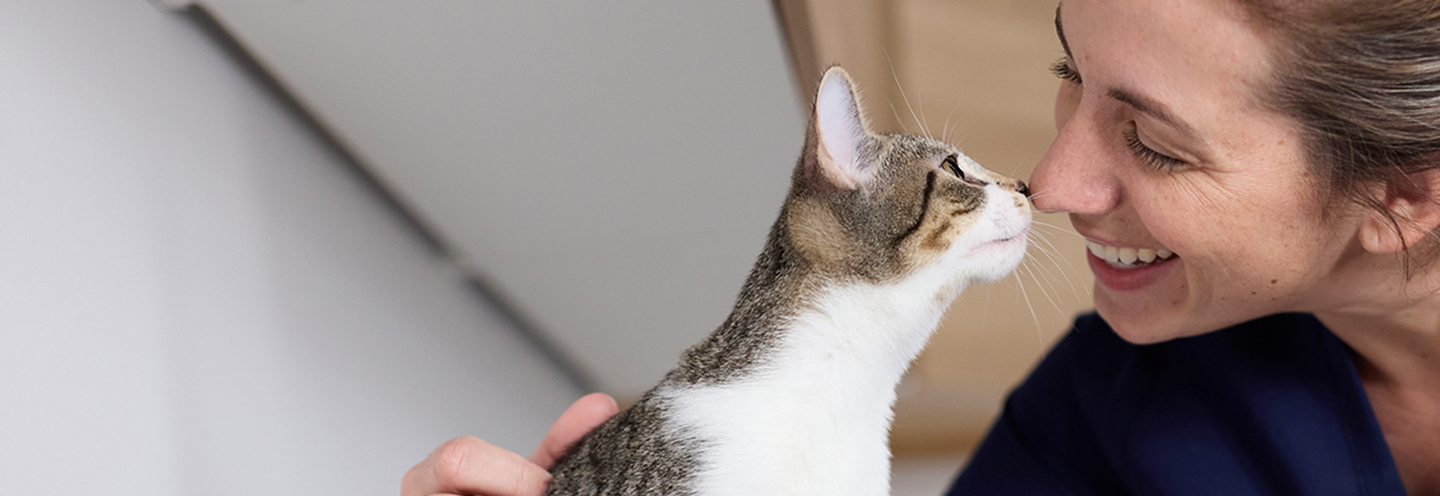 A veterinary professional and a cat touching noses