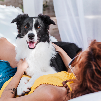 CarePlus Pet Insurance & Wellness | Chewy Health
