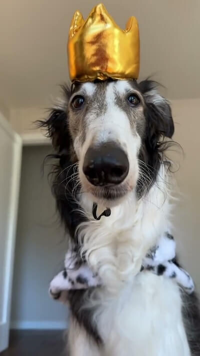 An update from @cleolonglegs