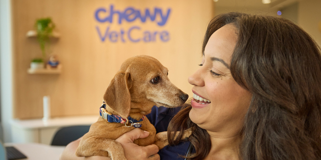 A pet recieving quality veterinary care