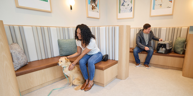 An exam room with a veterinary professional talking to a pet parent about their dog